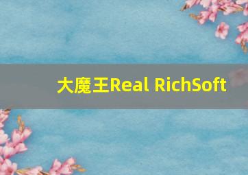 大魔王Real RichSoft